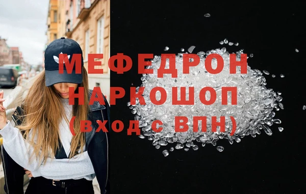 гашик Инта