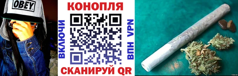 где найти   Сызрань  Бошки марихуана гибрид 